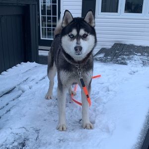 Meet your Posher, Scott